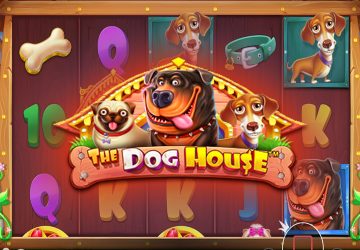 NOVOMATIC - игровой автомат онлайн от Various с RTP 97.89%